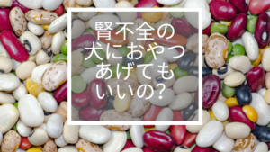腎不全の犬のおやつに豆